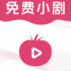 CC影视大全永久vip版